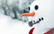 Snowman face