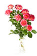 Bouquet of beautiful roses.