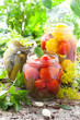 Preserved vegetables