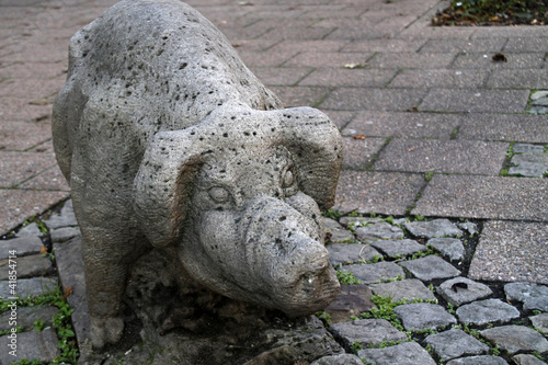 Foto: Schweine auf dem alten Schweinemarkt in Rinteln Schweine auf dem alten Schweinemarkt in Rinteln