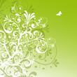 Floral, Frühling, Grün, Swirl, Schmetterling, Pflanze, abstrakt