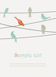 birds on wires