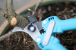 Gartenarbeit