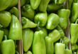 Green pepper in wholesale market