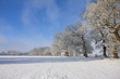 Footprints through fresh snow in winter landscape