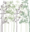 vector background with bamboo forest
