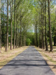 Foto: road road