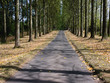 Foto: path path