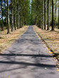 Foto: path path