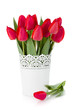 Red tulips in flowerpot Red tulips in flowerpot