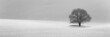 Isolated tree in snow covered landscape
