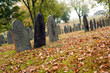 Fall graveyard