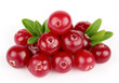 Sweet cranberries with leafs