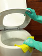 Cleaning bathroom: toilet