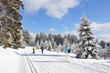 Winter im Thüringer Wald