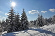 Wintersonne im Thüringer Wald