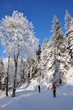 Winter im Thüringer Wald Winter im Thüringer Wald