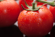 perfect fresh red wet tomatoes