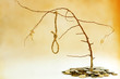 bad investment , banks cheating and no exit concept