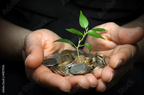 Photo: invest money concept with woman hands and plant invest money concept with woman hands and plant
