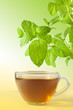 mint tea and colorfu background