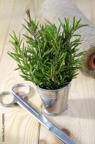 Photo: rosemary rosemary