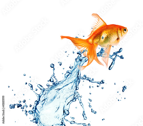 Foto: blue water splash isolated blue water splash isolated
