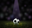 Soccer Ball