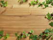 An Ivy plant on a table of hardwood