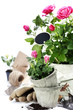 garden tools