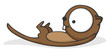 Big-eyed otter