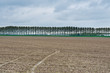 Protective Dam