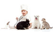 Adorable small kid doctor examining pets dog, cat, bunny and rat