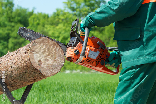 Foto: Kettensäge Brennholz machen Kettensäge Brennholz machen