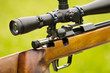 Sniper Rifle