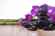 orchidea con pietre nere e bambù orchidea con pietre nere e bambù