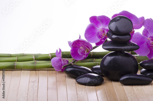 Photo: orchidea con pietre nere e bambù orchidea con pietre nere e bambù