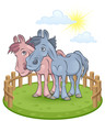 Funny horses