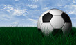 Soccer ball over green grass Soccer ball over green grass
