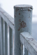 closeup shot of the fence