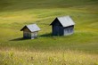 Alpine Field