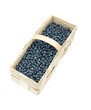 Blueberries