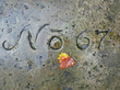 Grabstelle No 67