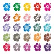 Hibiskus Hawaii - Megaset
