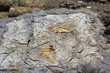 Deposit archaeological Blasi Deposit archaeological Blasi