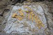 Deposit archaeological Blasi Deposit archaeological Blasi