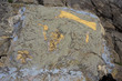 Deposit archaeological Blasi Deposit archaeological Blasi