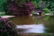Nürnberg Stadtparksee