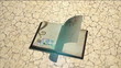 old book with turning pages, growing tree,butterflies old book with turning pages, growing tree,butterflies