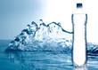 Frozen water and bottle